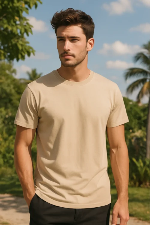 Beige Men Regular Fit Tshirt