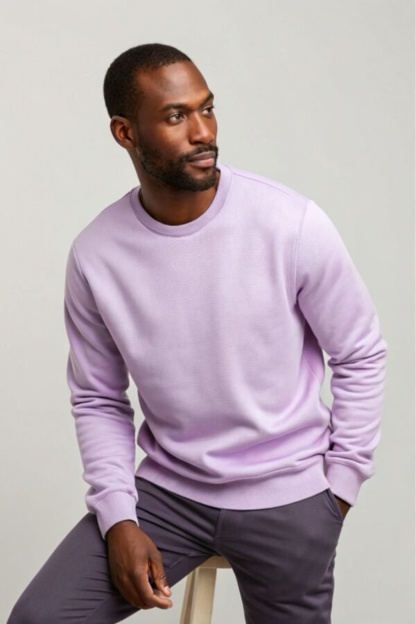 Lavender Men Casuals Sweatshirt