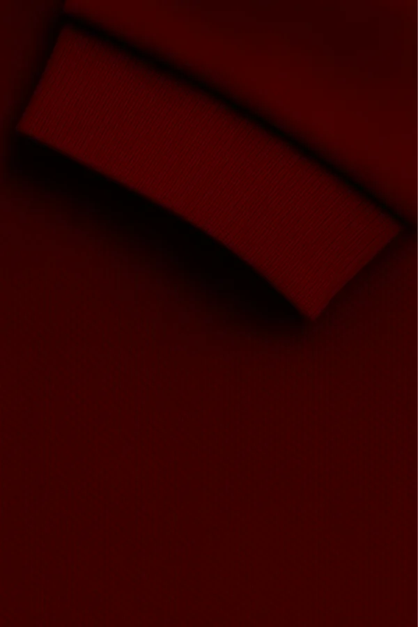 Maroon polo t-shirt crafted from premium cotton blend double piqué fabric with short sleeves, buttoned collar, and classic regular fit.
